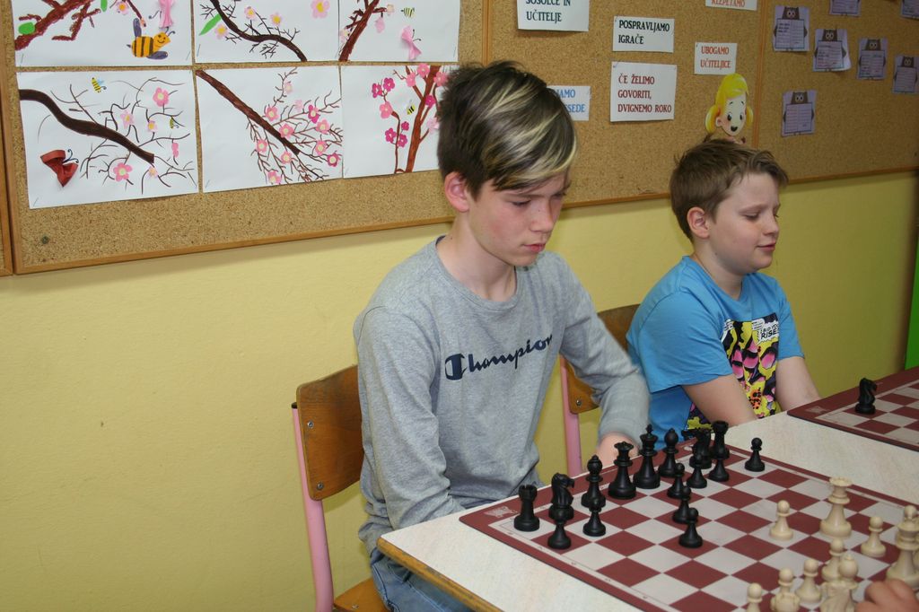 Mednarodno spletno tekmovanje v šahu